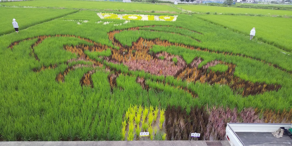 2019田んぼアートinおばた